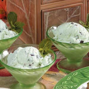 Chocolate Chip Mint Ice Cream image