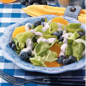 Blueberry-Orange Onion Salad image