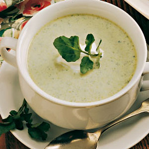 Asparagus Cress Soup for 2 image