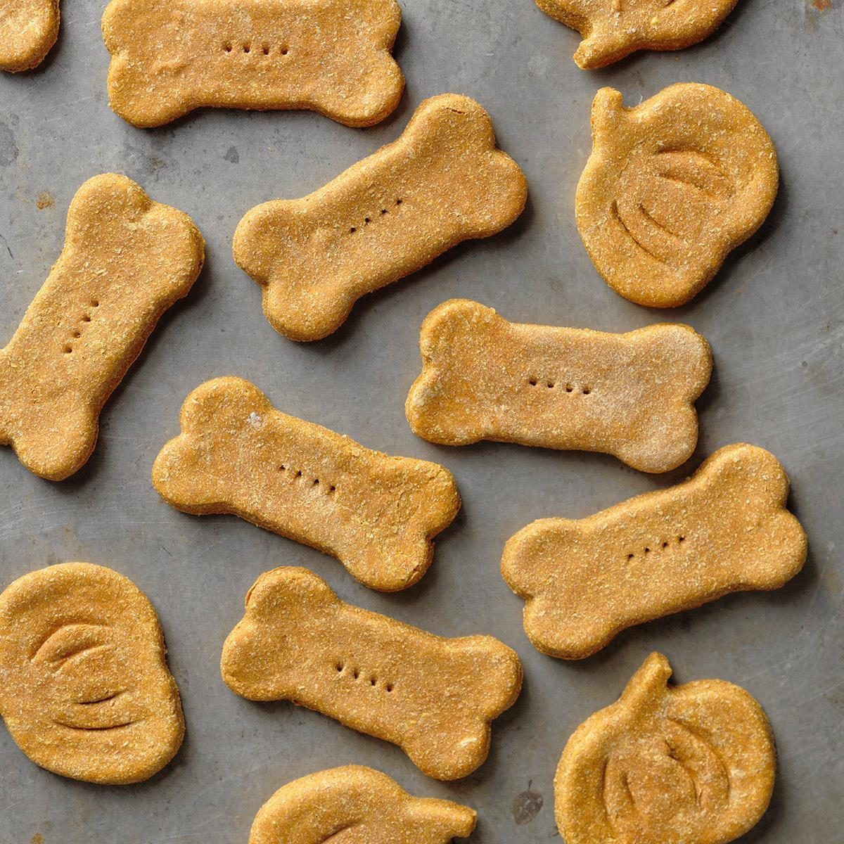 Ginger dog treat shop recipe for motion sickness