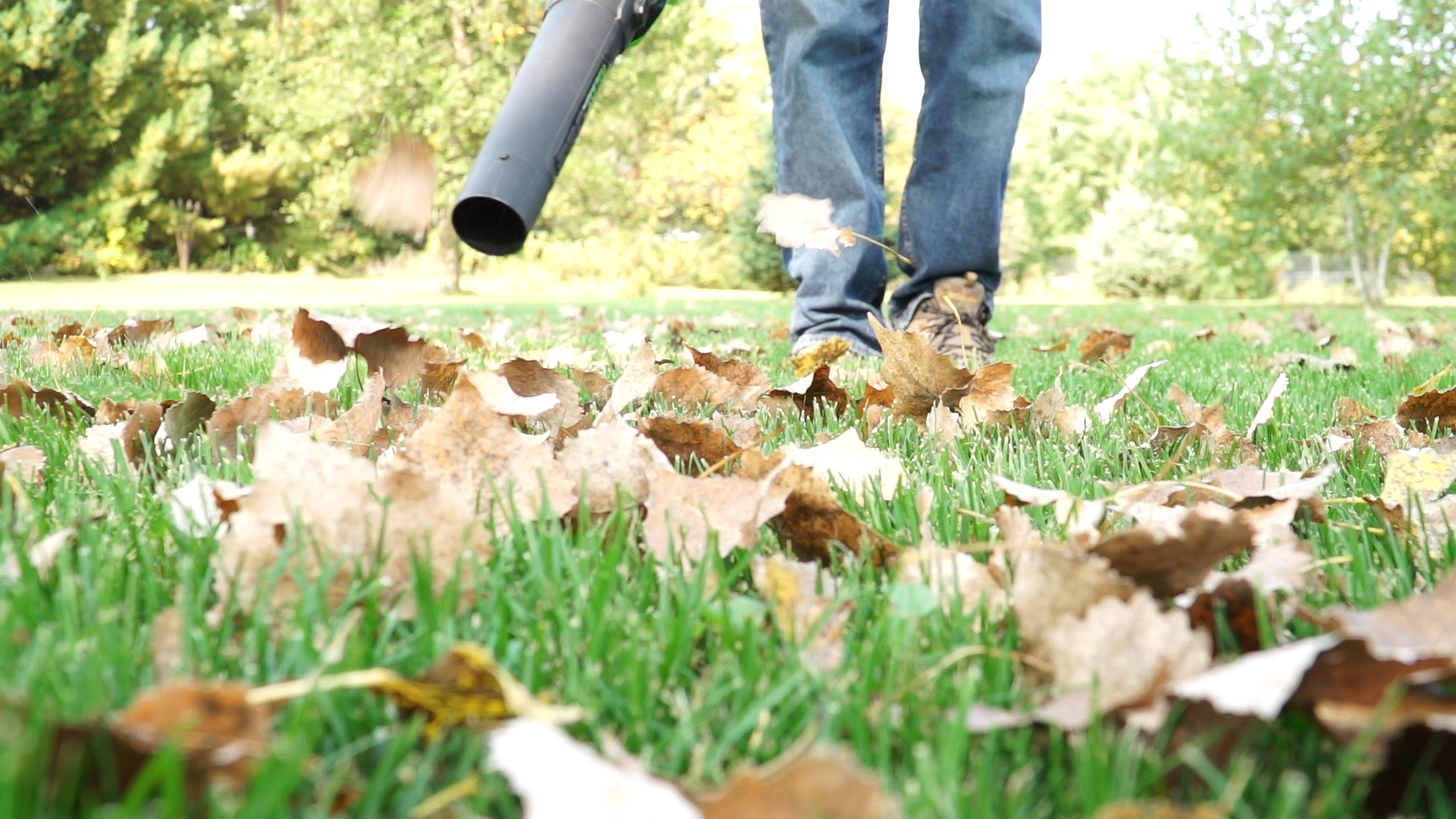 The Best Way to Remove Leaves From Your​ Yard