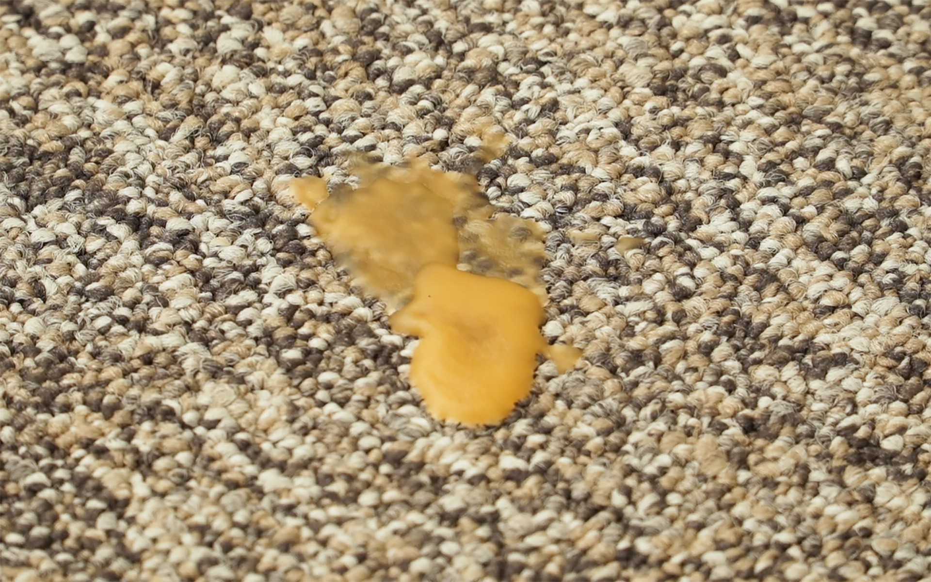 How to Remove Wax from Carpet