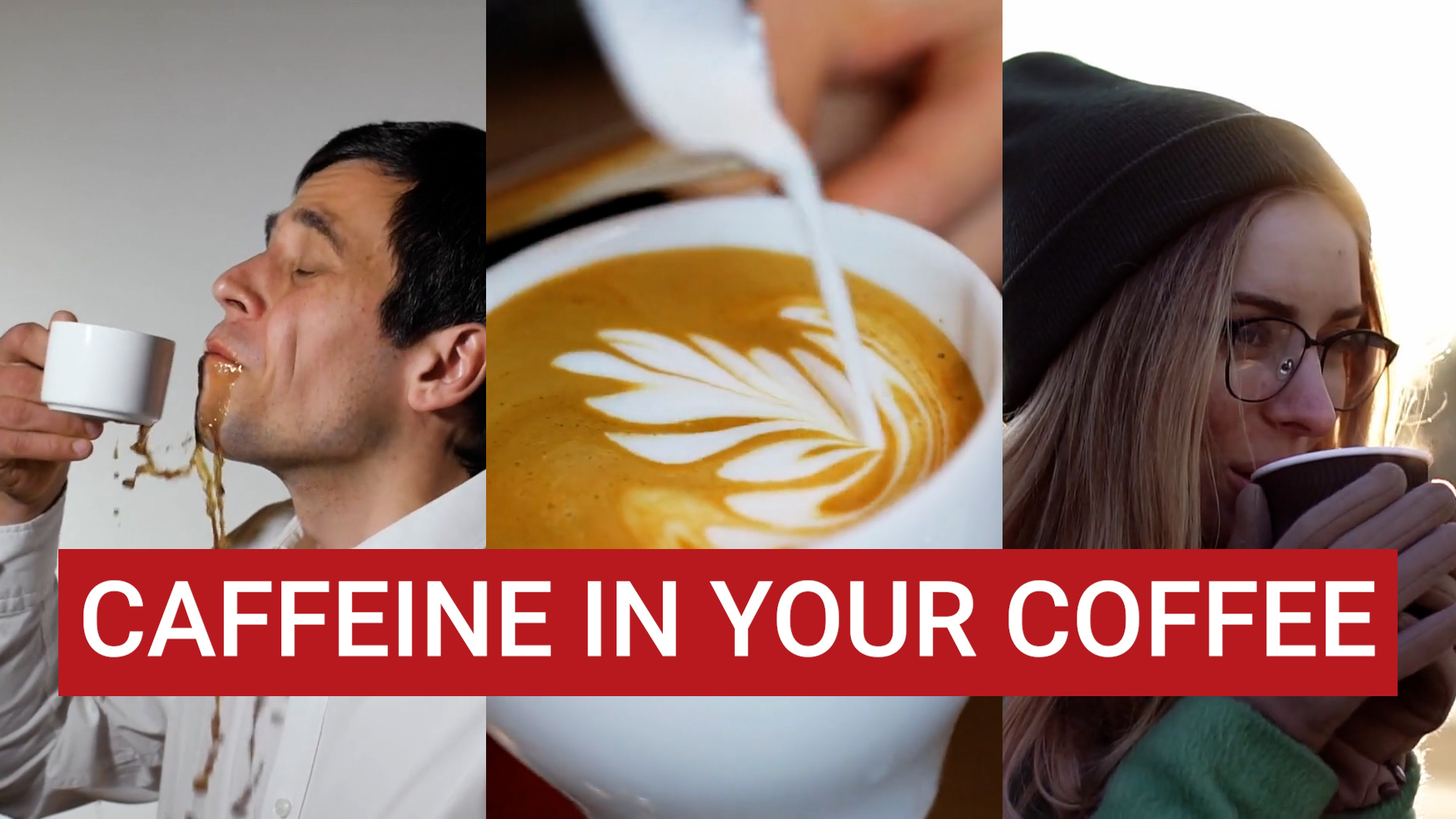 How Much Caffeine Is in a Cup a Coffee: By Chains and Brewing